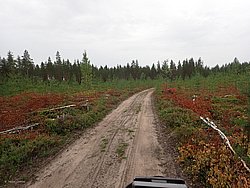 20260727_163724-0117.JPG