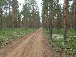 20260727_164532-0120.JPG