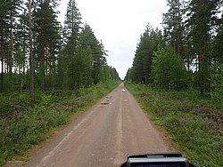20260727_164808-0121.JPG