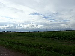 20260727_172255-0122.JPG