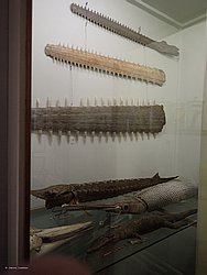 20260728_154910-0068.JPG