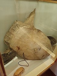 20260728_154926-0069.JPG