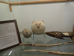20260728_154949-0070.JPG