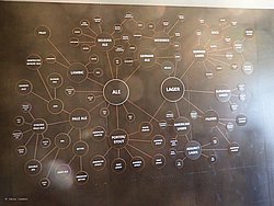 20260729_113056-0013.JPG