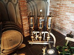 20260729_113136-0017.JPG