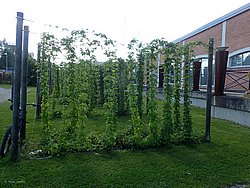 20260729_121729-0053.JPG