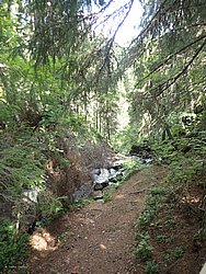 20260729_134235-0059.JPG