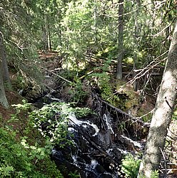 20260729_134316-0060.jpg