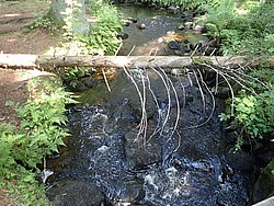 20260729_134446-0061.JPG