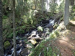 20260729_134643-0065.JPG