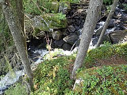 20260729_134646-0066.JPG
