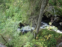 20260729_134649-0067.JPG