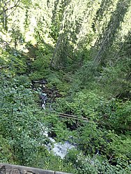 20260729_134700-0068.JPG