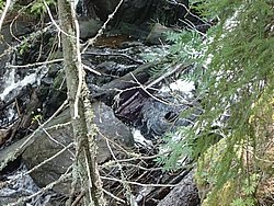 20260729_134915-0070.JPG