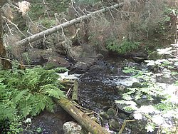 20260729_135005-0071.JPG