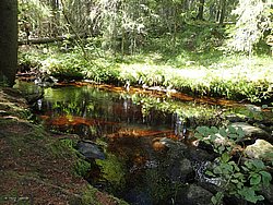 20260729_135059-0072.JPG