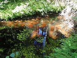 20260729_135325-0073.JPG