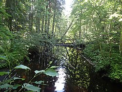 20260729_135329-0074.JPG