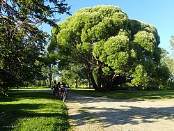 20260729_191535-0106.JPG