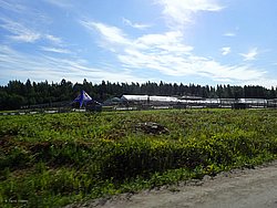 20260730_110423-0005.JPG