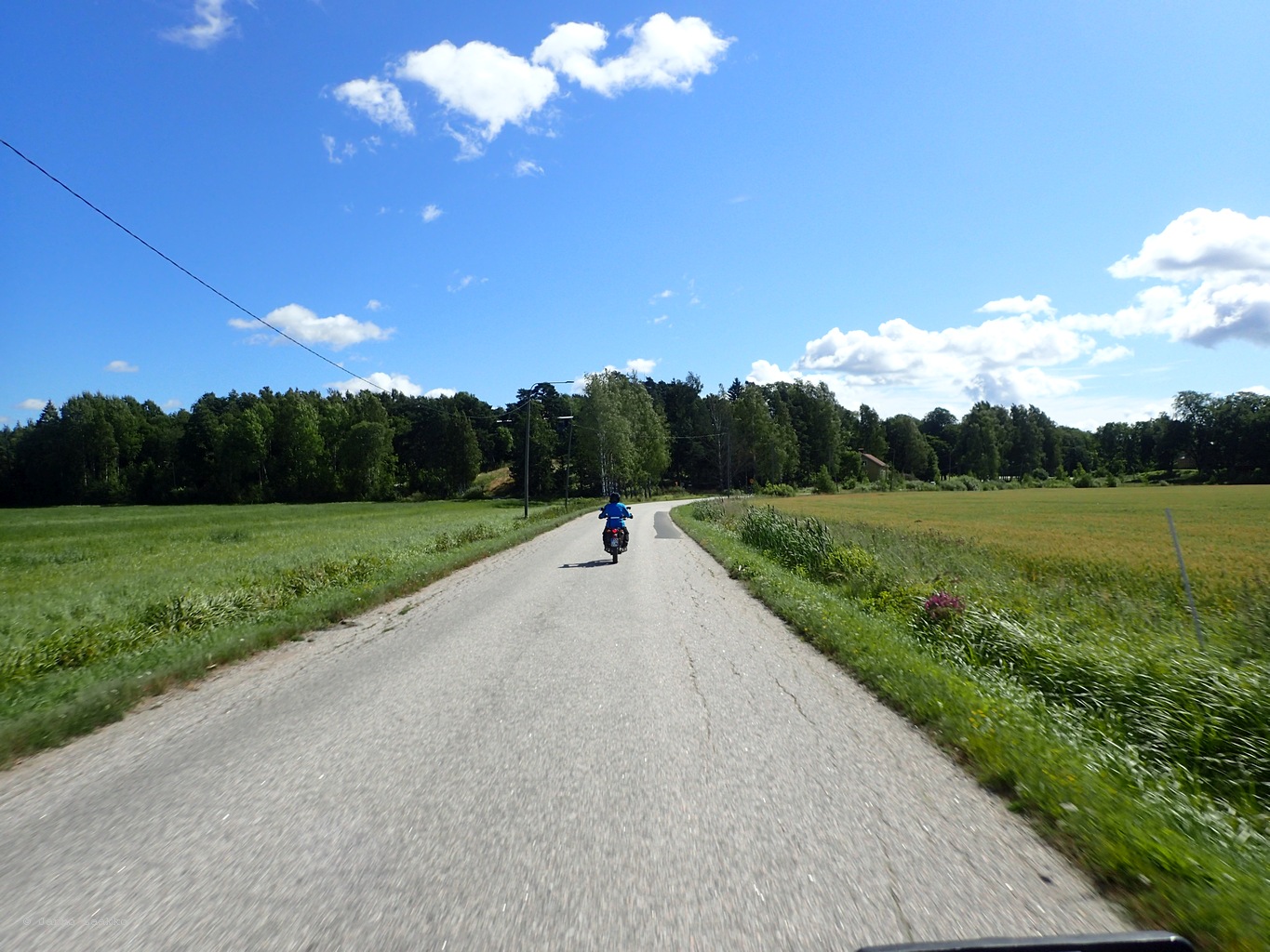 P8081671.JPG