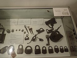 P8081688.JPG