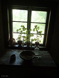 P8081713.JPG