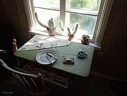 P8081720.JPG