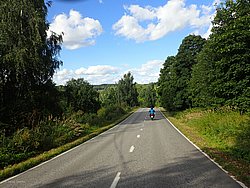 P8081730.JPG