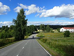 P8081731.JPG