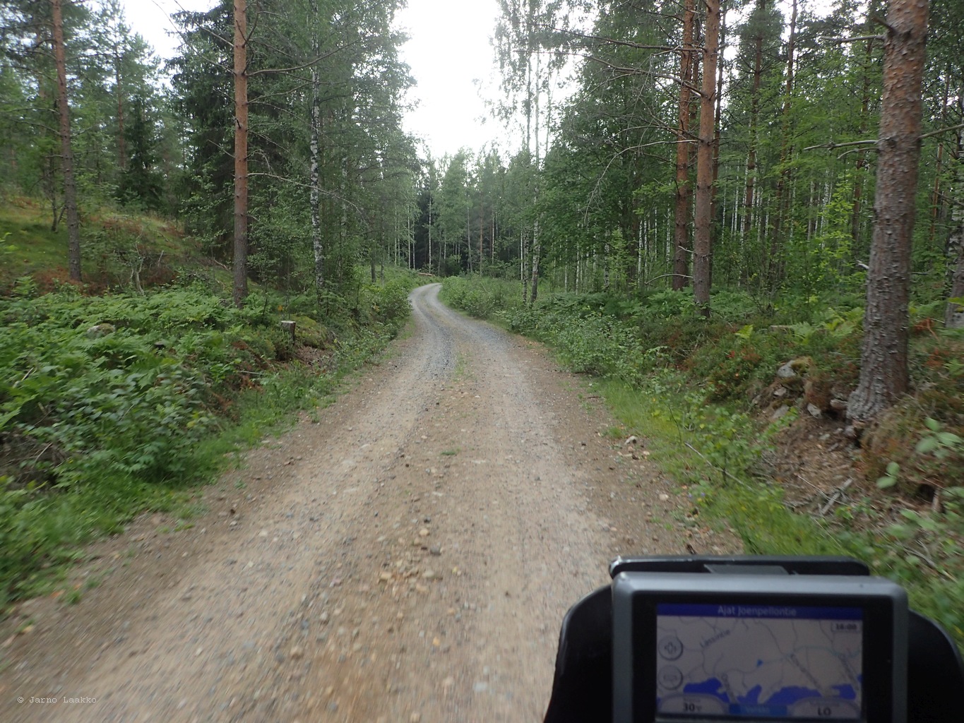 P8151759.JPG