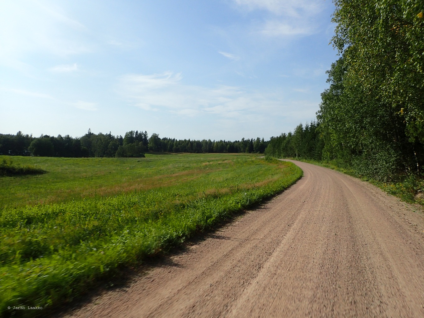 P8151763.JPG