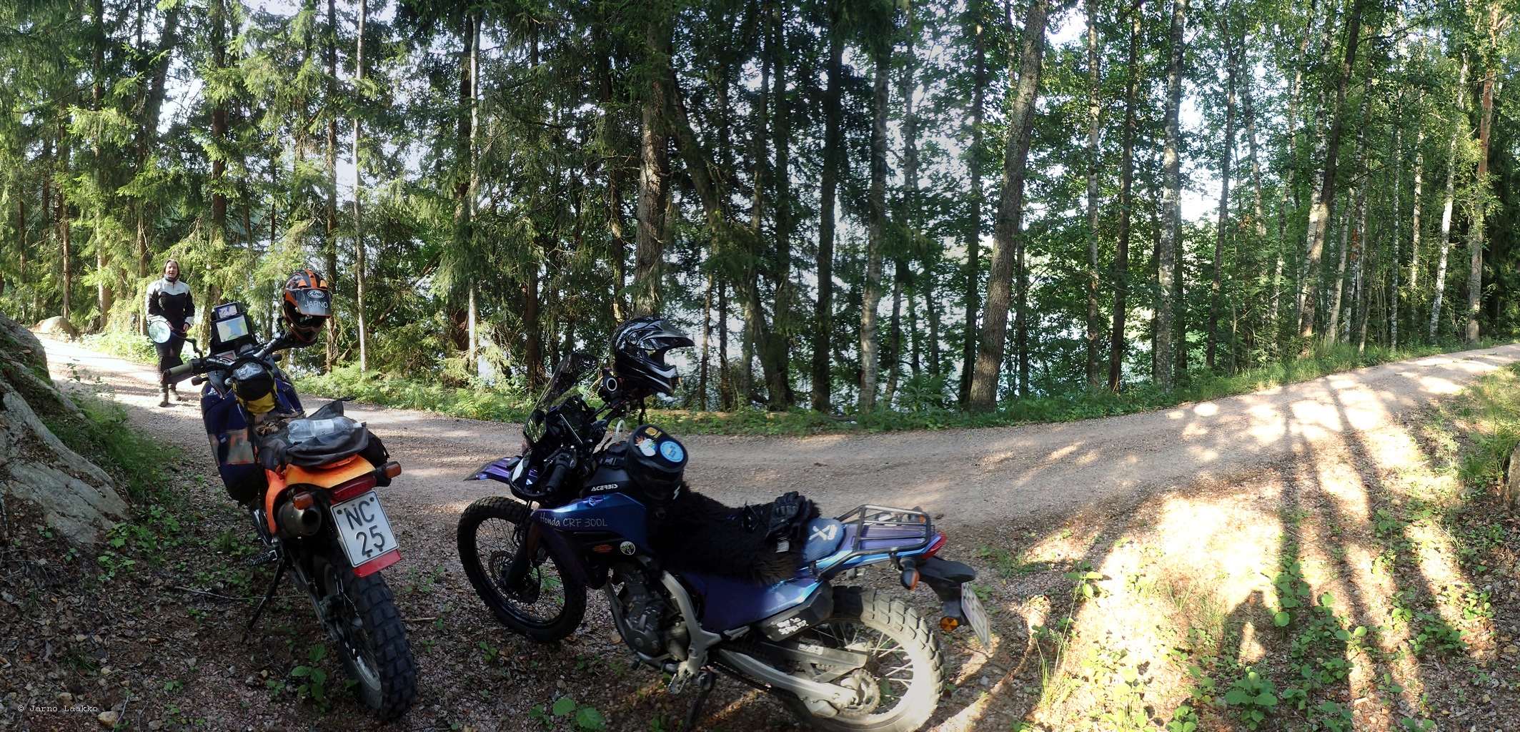 P8151804.jpg