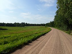 P8151763.JPG