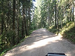 P8151765.JPG