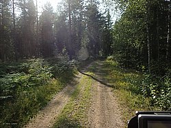 P8151772.JPG