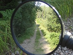 P8151784.JPG