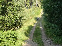 P8151787.JPG