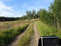 P8151788.JPG