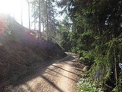 P8151795.JPG