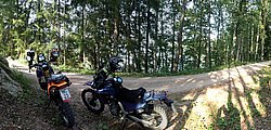P8151804.jpg
