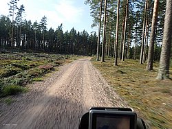 P8151810.JPG