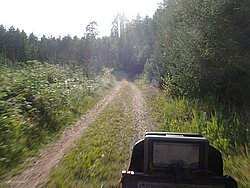 P8151811.JPG