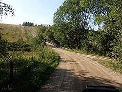 P8151819.JPG