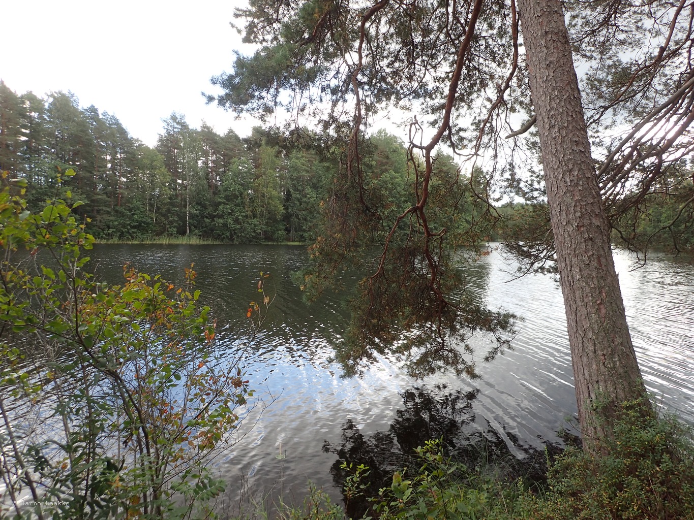 P9051706.JPG