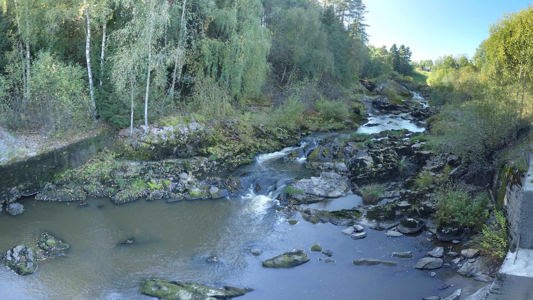 P9061911.jpg