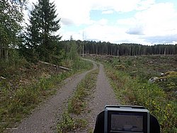 P9051688.JPG