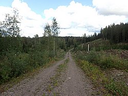 P9051691.JPG