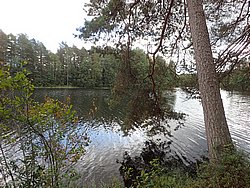 P9051706.JPG