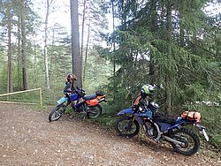 P9051888.JPG
